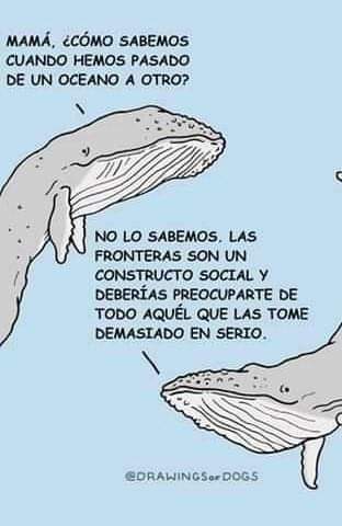 Johnbo100's tweet image. Las fronteras son un constructo humano. "Marcar territorio" es un constructo animal.