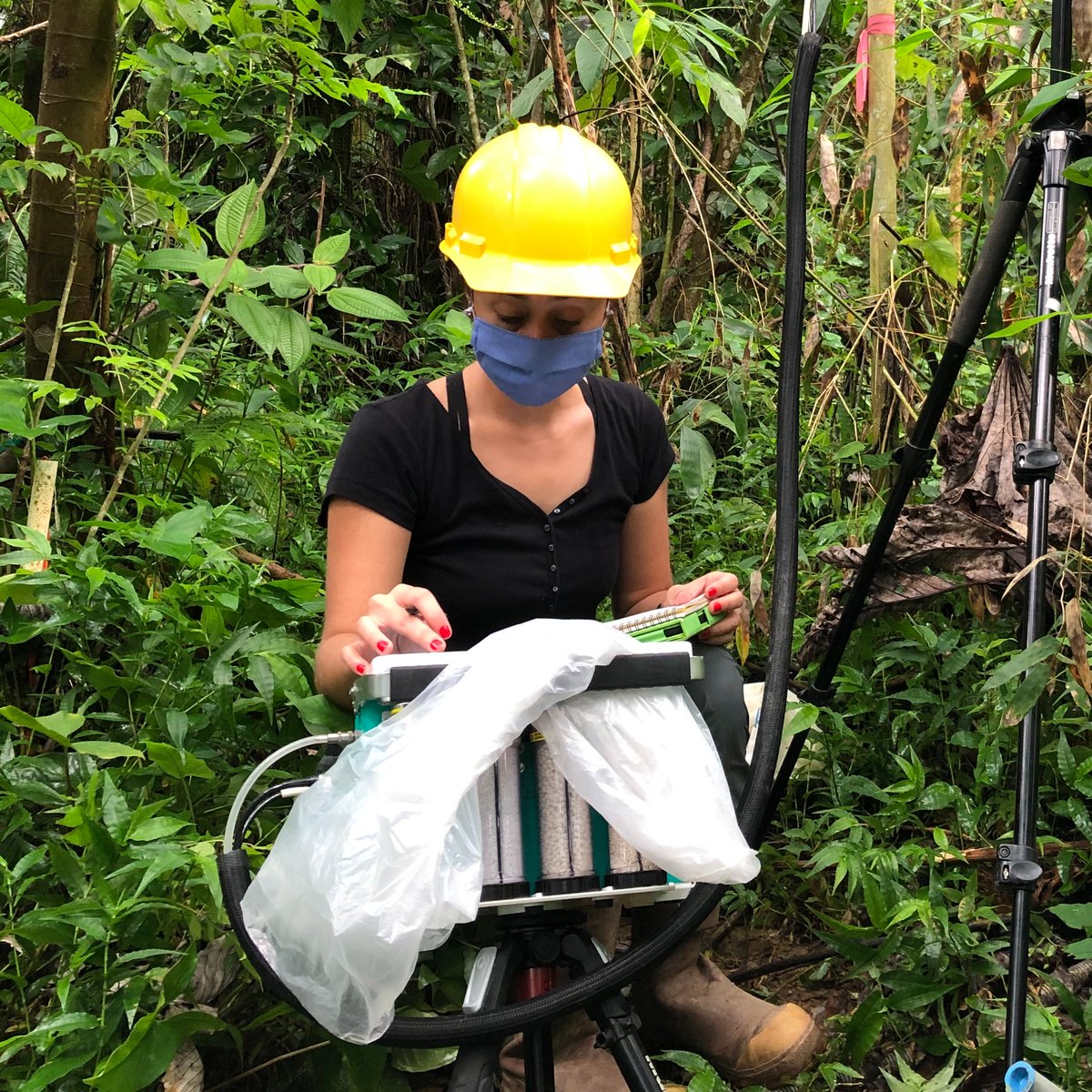 My name is Nicole A. Gutierrez-Ramos, and I am the current plant physiology technician at TRACE. Today I will be taking over to talk a bit about me, career paths, plant physiology data collection and working in a tropical rainforest. Feel free to make some questions here. 1/n