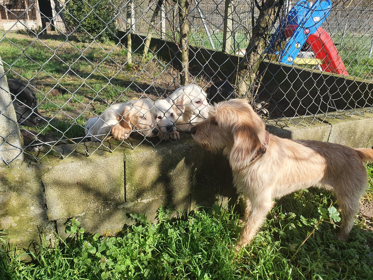 ᑭᏞᗩᑎᗴᎢᗩ Ꮓᗩᖇᑭᗩ tweet media