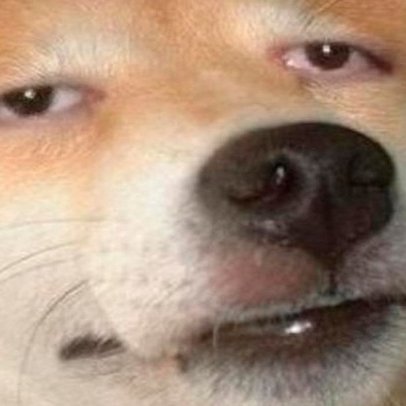 I promise I'm dropping this now but