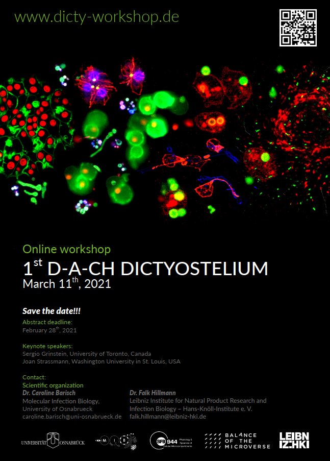 barisch_c's tweet photo. The registration for the first D-A-CH Dictyostelium workshop, organized by @HillmannLab and @barisch_c, is now open!
More info on the registration process can be found here: https://t.co/xvGpj9NLay 
Looking forward to a great meeting! https://t.co/05rw7E6TKD