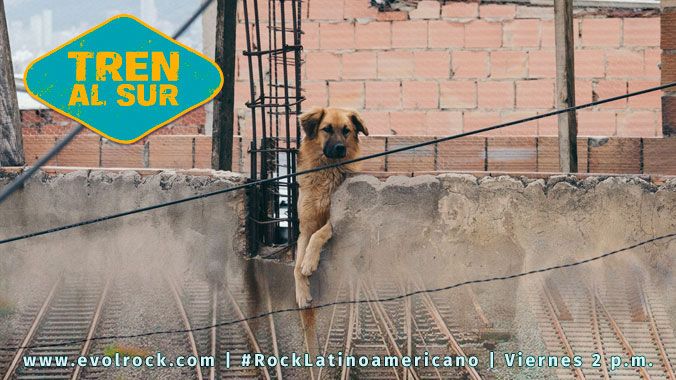 Al aire #TrenAlSur 2 horas de #RockLatinoamericano con <a href="/cochecama1/">cochecama</a> <a href="/THE_TERRORmusic/">💀 THE TERROR 💀</a> <a href="/PortoSoloMusic/">Porto Solo</a> <a href="/vertearboles/">Árboles Vertebrados</a> <a href="/RecipeMorado/">𝚁é𝚌𝚒𝚙𝚎 𝙼𝚘𝚛𝚊𝚍𝚘 ®</a> <a href="/ElMato/">El mato a un policia motorizado</a> @HipsumMedayork y más #RockLatino ¡acompáñanos!
evolrock.com
tun.in/sfznX