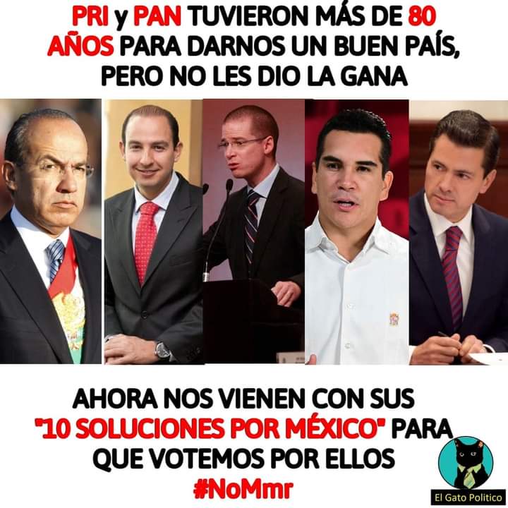 GreciaSebastiaZ's tweet photo. #Avispadas https://t.co/IVqdaVH4zN