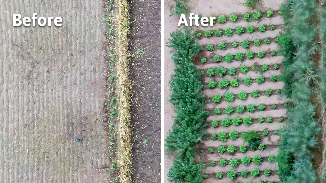 Treesftf's tweet image. Thanks to you, lasting change is possible.

#TreesfortheFuture #FridaysforFuture #GenerationRestoration