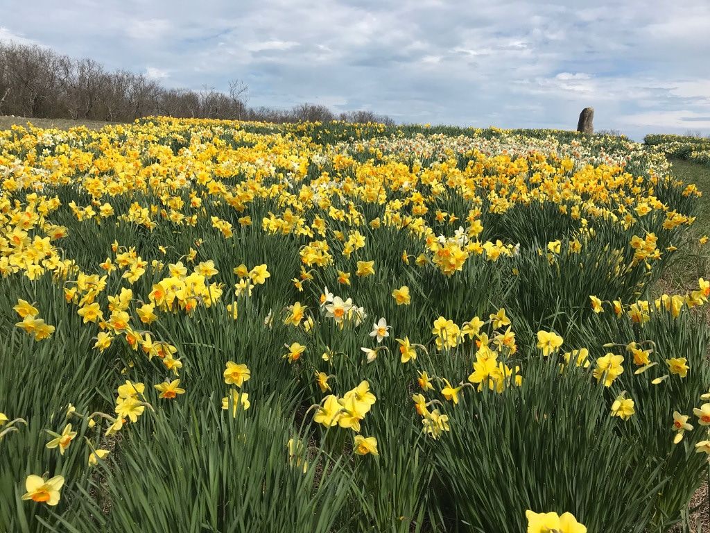 SocSynergySvc's tweet photo. A blog can do wonders for your digital footprint. Check out what I do for the Block Island Travel and Tourism Council.

https://t.co/yohwymc3qY https://t.co/RrvOzjTf2V