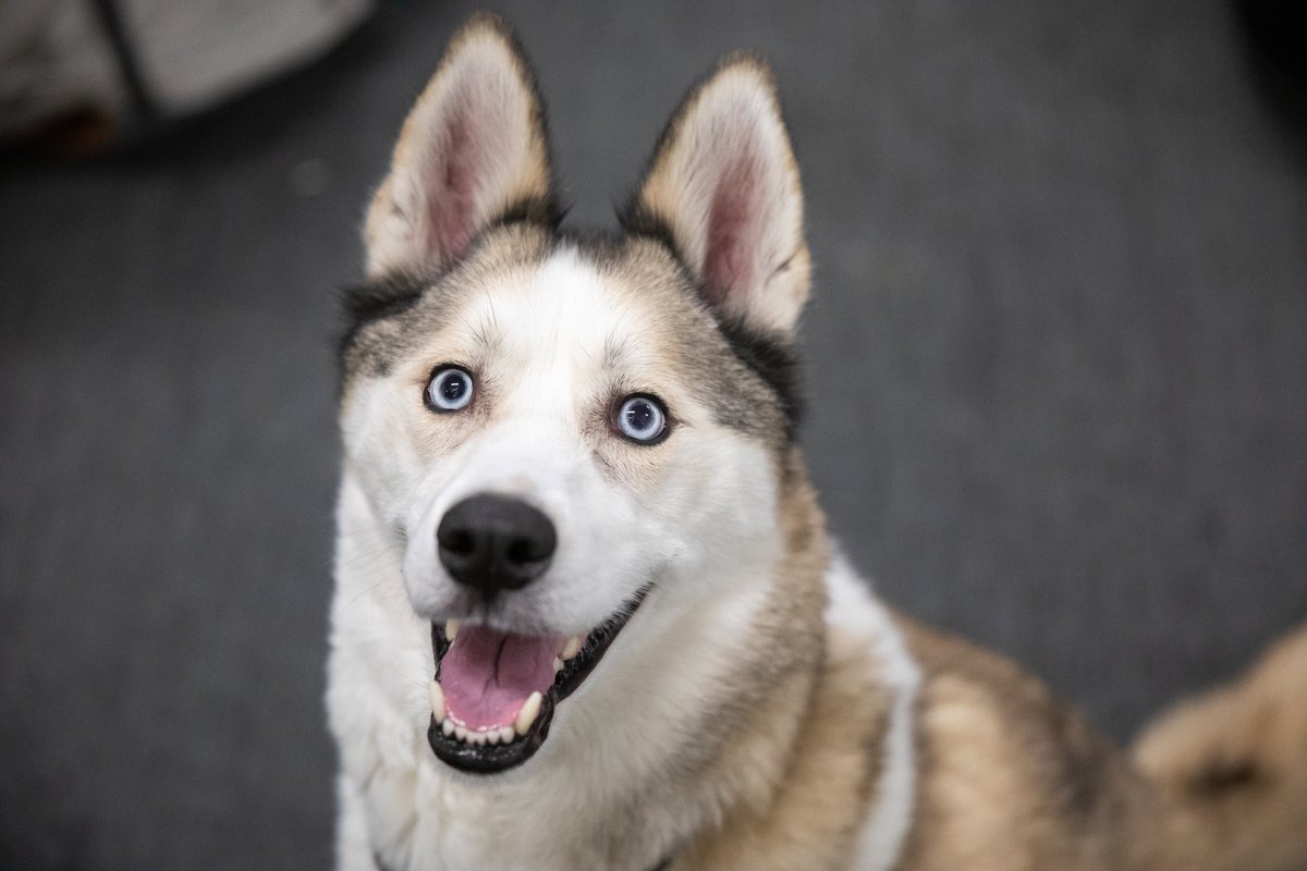 Did someone say...FRIDAY? 😃