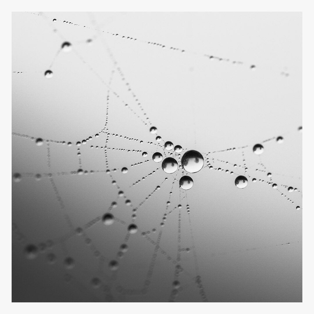 ZBekefy's tweet photo. Microcosm

Everything in our
world, even a drop of
dew, is a microcosm of
the universe.
⋯
Ralph Waldo Emerson https://t.co/HFRD6jn3KC