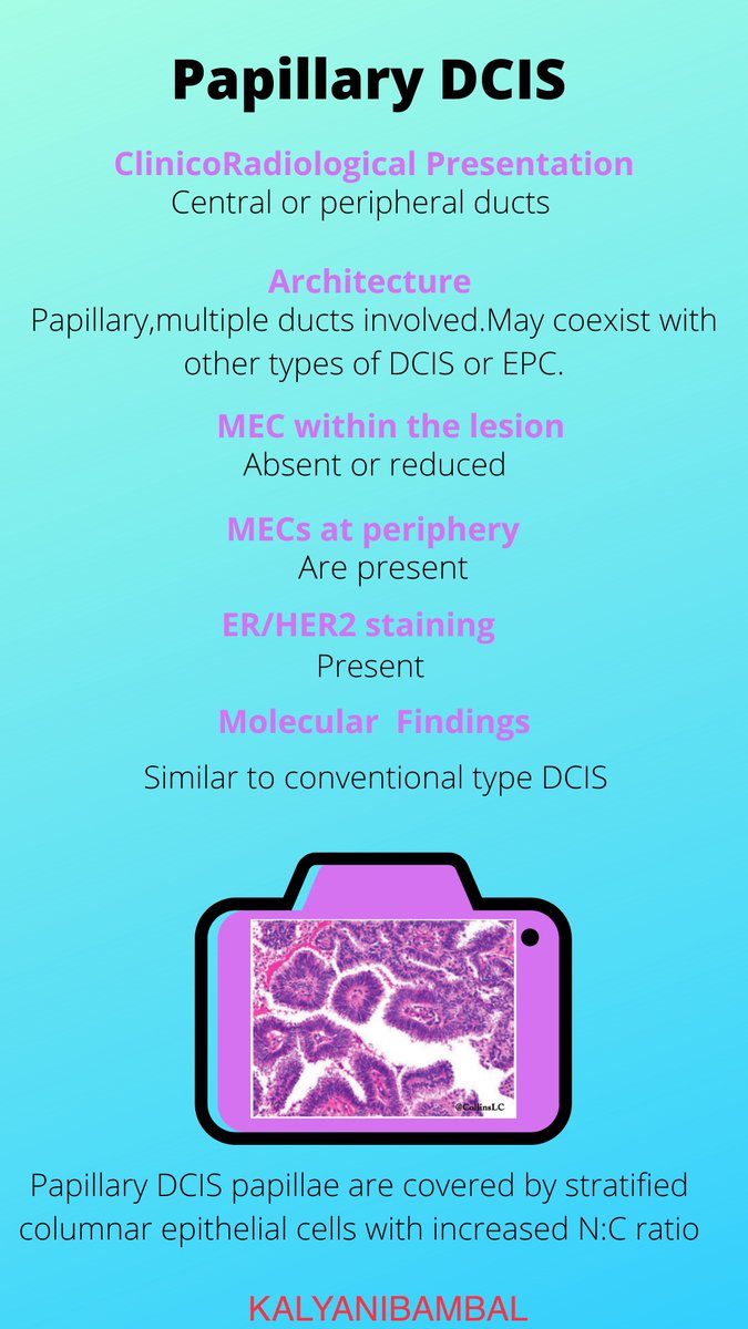 Infographics I made for Papillary Breast Lesions.Check out more in the thread below  #breastpath  #residents  @smlungpathguy  @JMGardnerMD  @nucleololailo  @ariella8  @thejourneymate  @DrGeeONE  @vi_monappa  @DraEosina  @Dramanyhassany1  @Alipathy  @luishcruzc