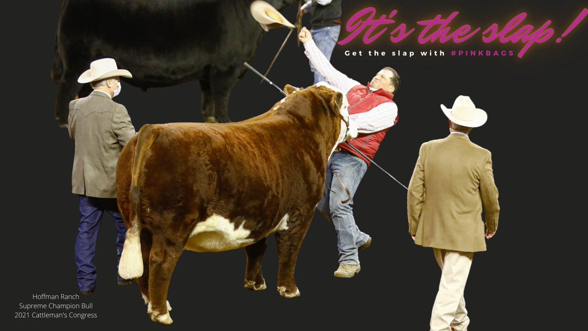 You’ve worked for this. You’ve earned this. A single gesture that can change your life. A movement that solidifies your status. The sign of a champion. The feeling of victory. It’s the slap!

It’s also that Friday feeling! 😂 have a great weekend #teamshowrite!