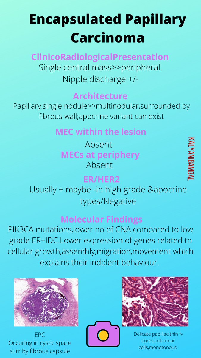  @DrPayelMondal  @padmapathology1  @pembeoltulu  @Komalgang  @AssocBreastPath  @pathnoob  @atman_ci  @LucasMassoth