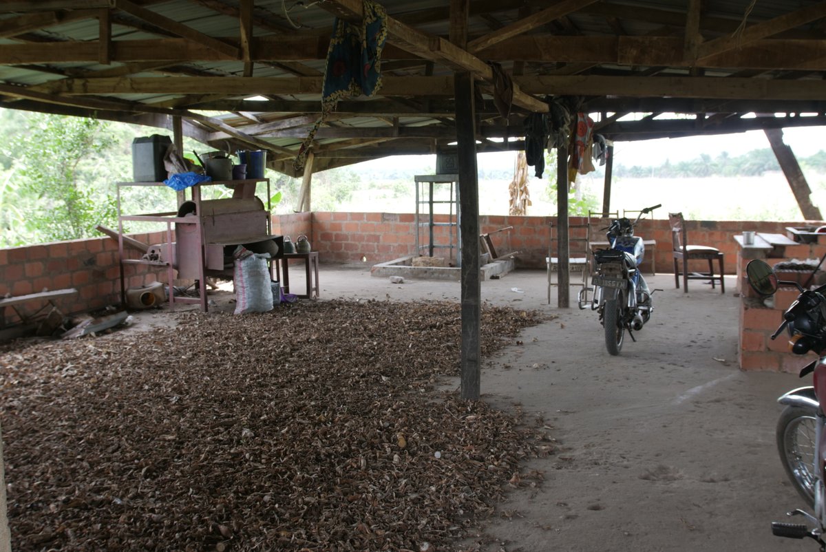 IITAYOUTHAGRIP's tweet photo. Some months ago, we promised to transform the abandoned cassava processing centre at the Oyo State owned facility in Awe into an ultra-modern cassava processing centre suitable for business and learning activities for young people in the state.
#IYA #YouthinAgribusiness https://t.co/agKwG5V0Lf