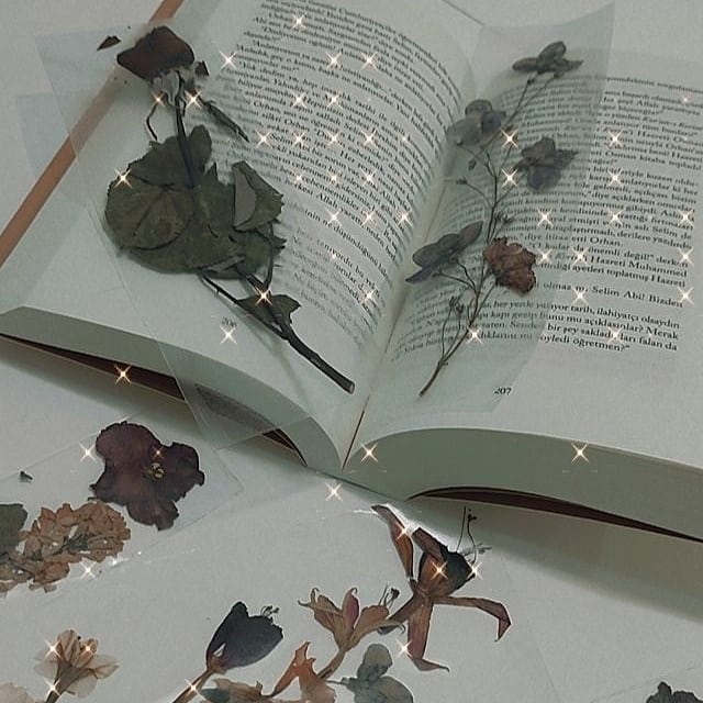 Bir zamanlar kitap arasında çiçek kurutmak gibi güzel bir furya vardı. O zamanın furyası bu zamanın ayracı oldu