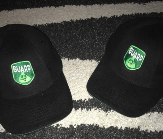 Guarp Gaming tweet media