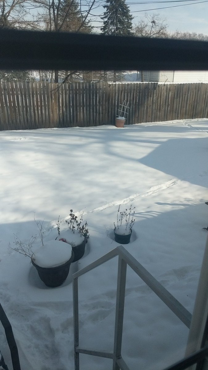 hazy_jay's tweet photo. @ChrisWarcraft Oh you sweet, sweet desert child. This is still sandal weather here. https://t.co/f2FAEGHM4a