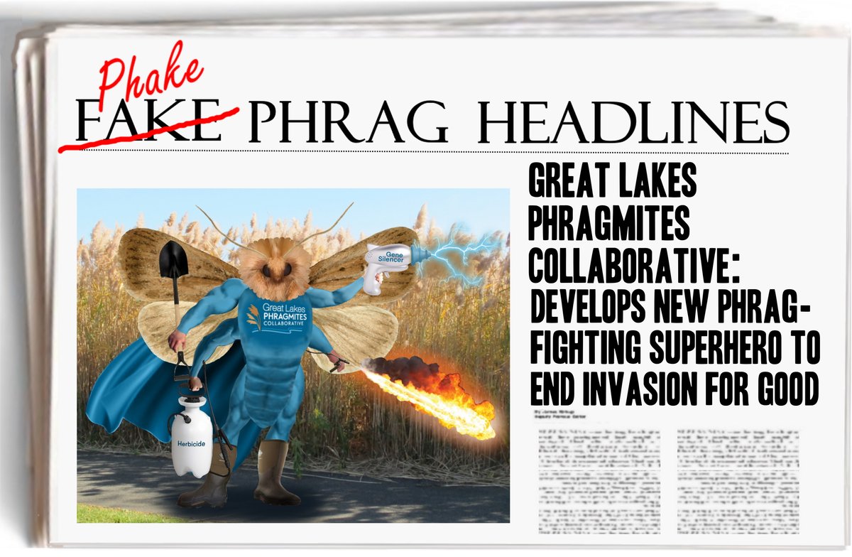 Oh, we did? Cool! Problem solved. #PhragPhriday #PhakePhragHeadlines #Phragmites