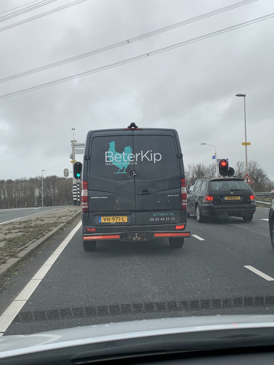 Florissteinhart's tweet photo. Beterkip moet niet meer in de auto stappen. #beterkip @beterkip #debiel #slechterijder https://t.co/T0bKSDsZDw