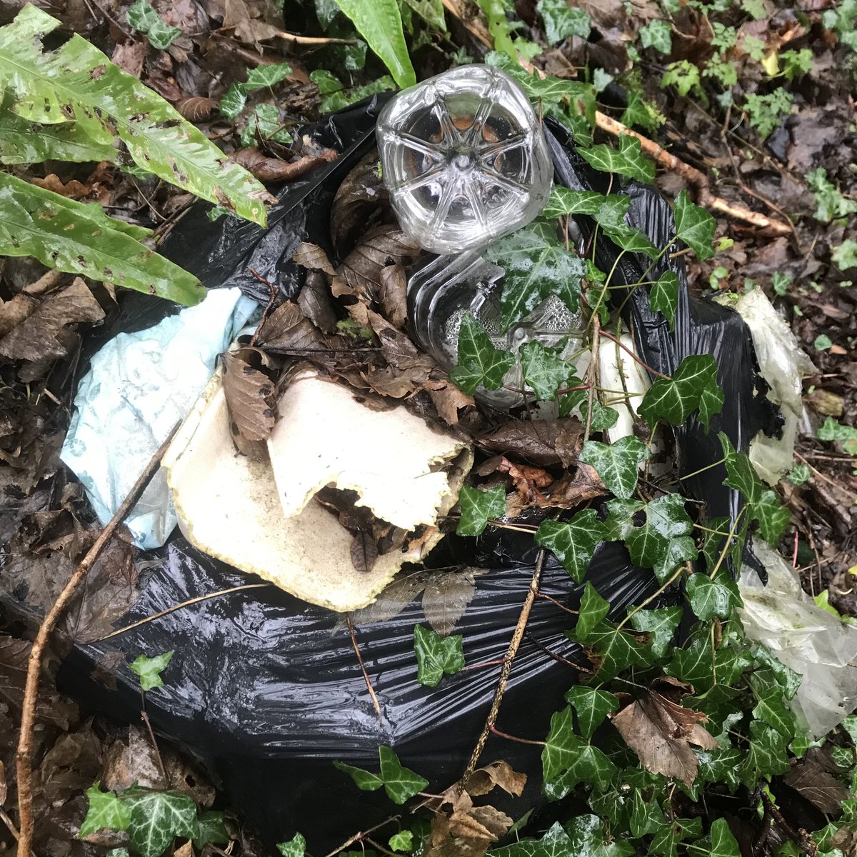 UseSeas's tweet image. A quick clean of the river Ogwen in North Wales. River-cleans are just as important as beach-cleans because they are a direct route to the ocean. What can be collected on the river bank is prevented from spending years circulating the ocean currents.