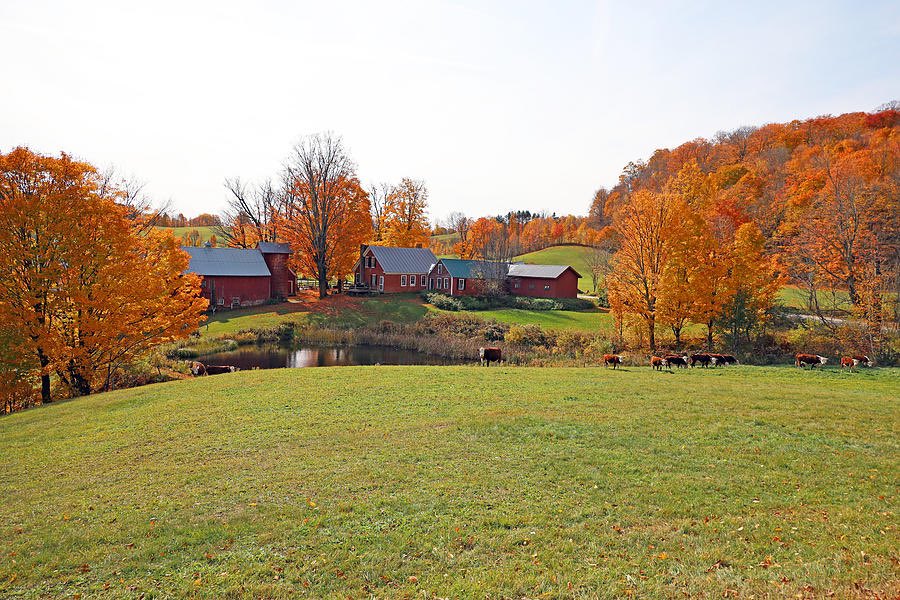 art_doda's tweet photo. Scenic Jenne Farm in Beautiful Vermont https://t.co/tKuTVcb7kD #Vermont #scenic #landscape #farm #jennefarm #fineartprint #framedprint https://t.co/YJBAgQbwYW