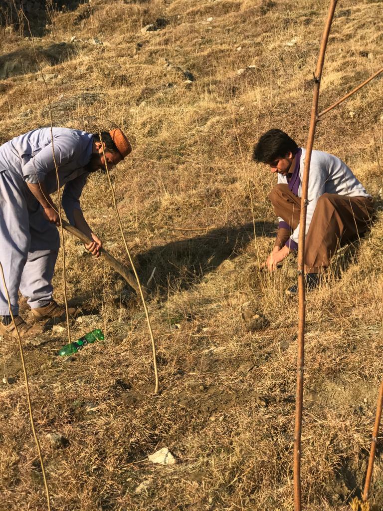 CMDPPakistan's tweet photo. Planting of trees is especially important to protect our environment against air pollution and global warming. To this end, our young volunteers are actively involved in organizing tree plantation campaigns in District Swat.
Weldon #Dayar_Ali https://t.co/7LXUjtUl0s