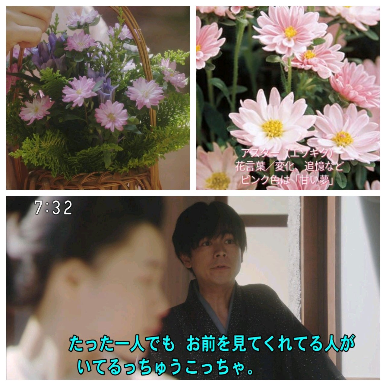わび さび 40 花言葉から 花かご 贈り主は 改めて検討すると アスター エゾギク サーモンピンクも近い 花言葉 変化 追憶 など さらにピンク色だと 甘い夢 と出た 一気に 一平説とも取れる おちょやん 成田凌 杉咲花 アスター 花