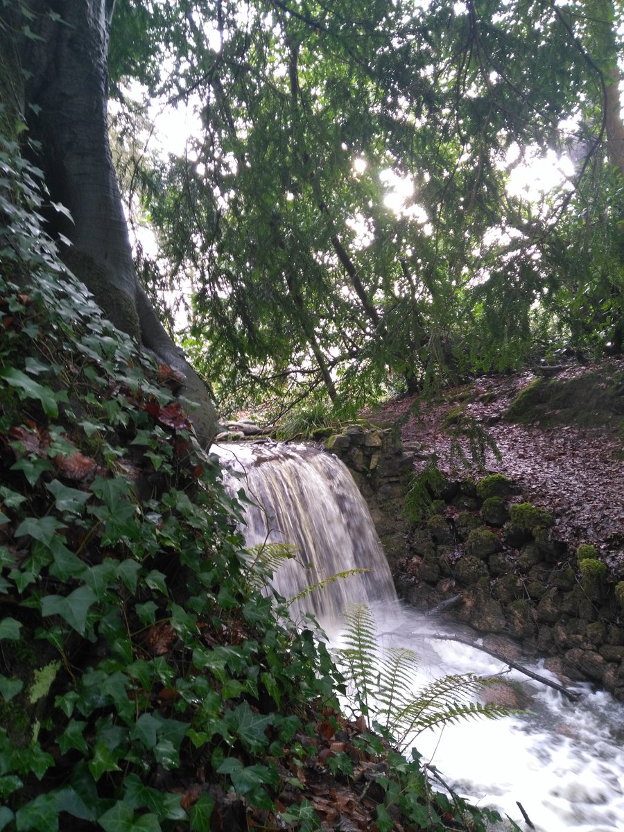 AcvBoch's tweet photo. #100DaysOfWalking🚶 Day28 #LunchtimeWalk #BirrCastle🏰providing badly needed #EcoTherapy🌳 missing the sea badly, waterfall and #RiverWalk💙 is next best thing #LockdownIsHard #StayHome #HoldFirm🌈 https://t.co/7ZvdC0hL9u