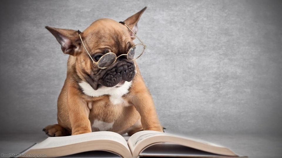 DTNEtiquette's tweet photo. My recommended reading includes the Kindness Boomerang by Orly Wahba - daily tips to save the world! ~ #DTN #kindnessrocks #ilove2read https://t.co/7LpjTSBxWP