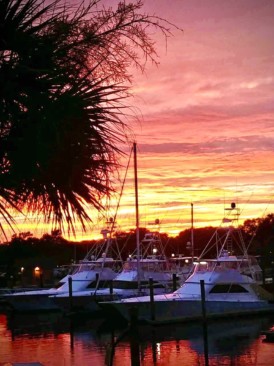 KingfishGrill's tweet photo. Two Weeks left for Early Bird Specials at Kingfish Grill https://t.co/7VsLAcpsAC https://t.co/qCDSrsPRHs