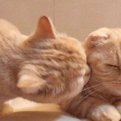 707JENGINK's tweet photo. ตื่นได้นึยาง ไม่ตื่นก็จุ๊บเข้าให้ https://t.co/8rsDnElqDn