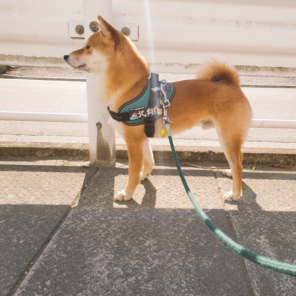 ミニすず これだけのユリウス人口を考えると 絶対需要あるよ ちょちょ それじゃ手間賃が入ってませんよ わ 欲しくなってきた ユリウスと北翔母ちゃんの名札