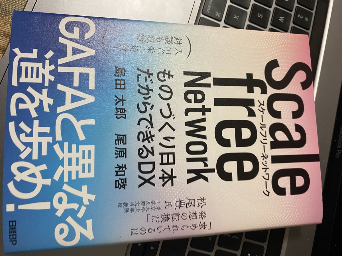 スケールフリーネットワーク