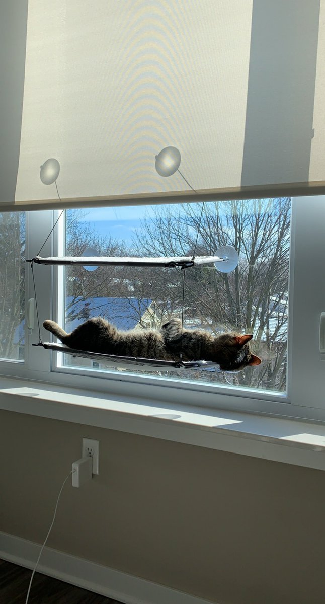 Marie Walicki tweet media