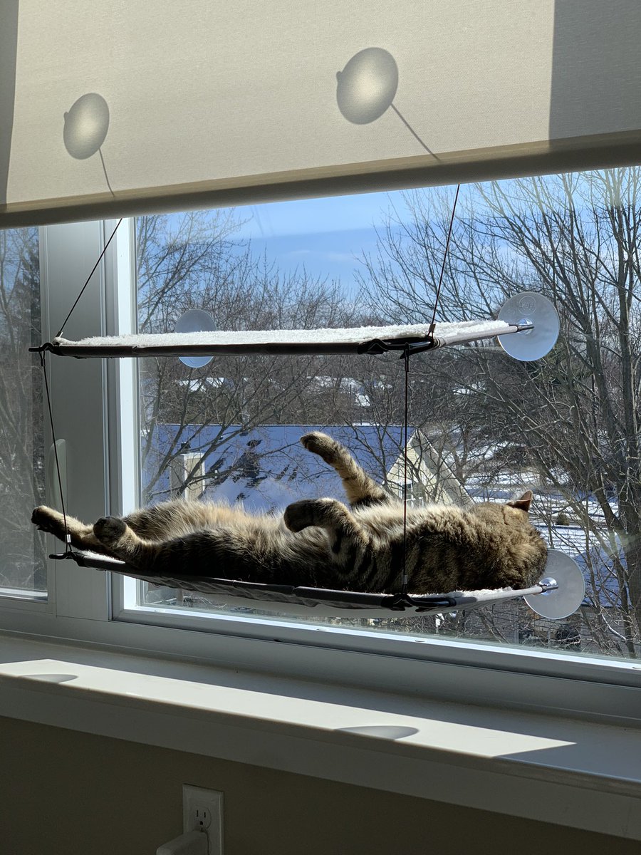 Marie Walicki tweet media