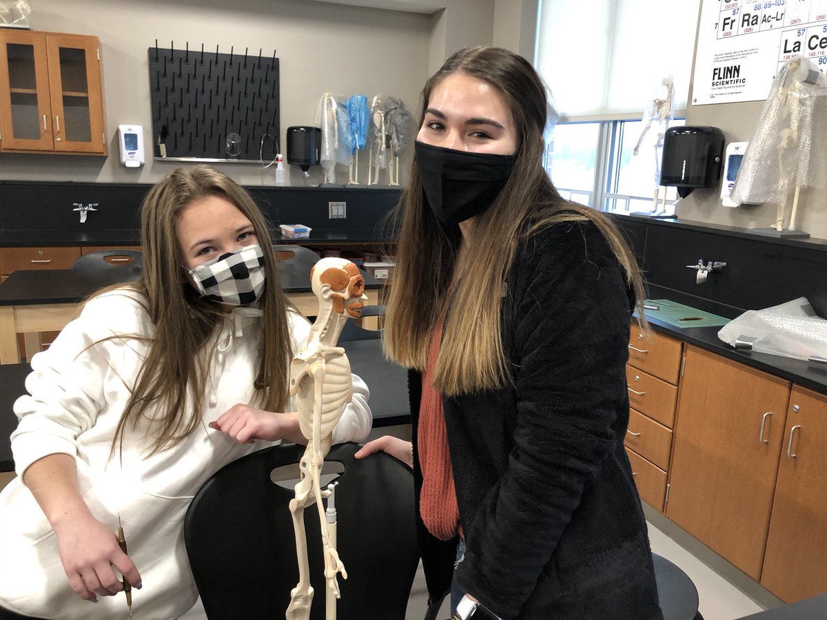 Seifert006's tweet photo. @NorthYearbook1 @NorthNews123 @JeffLyons9 Anatomy class learning muscles of the face. https://t.co/lgxsKfM4y5
