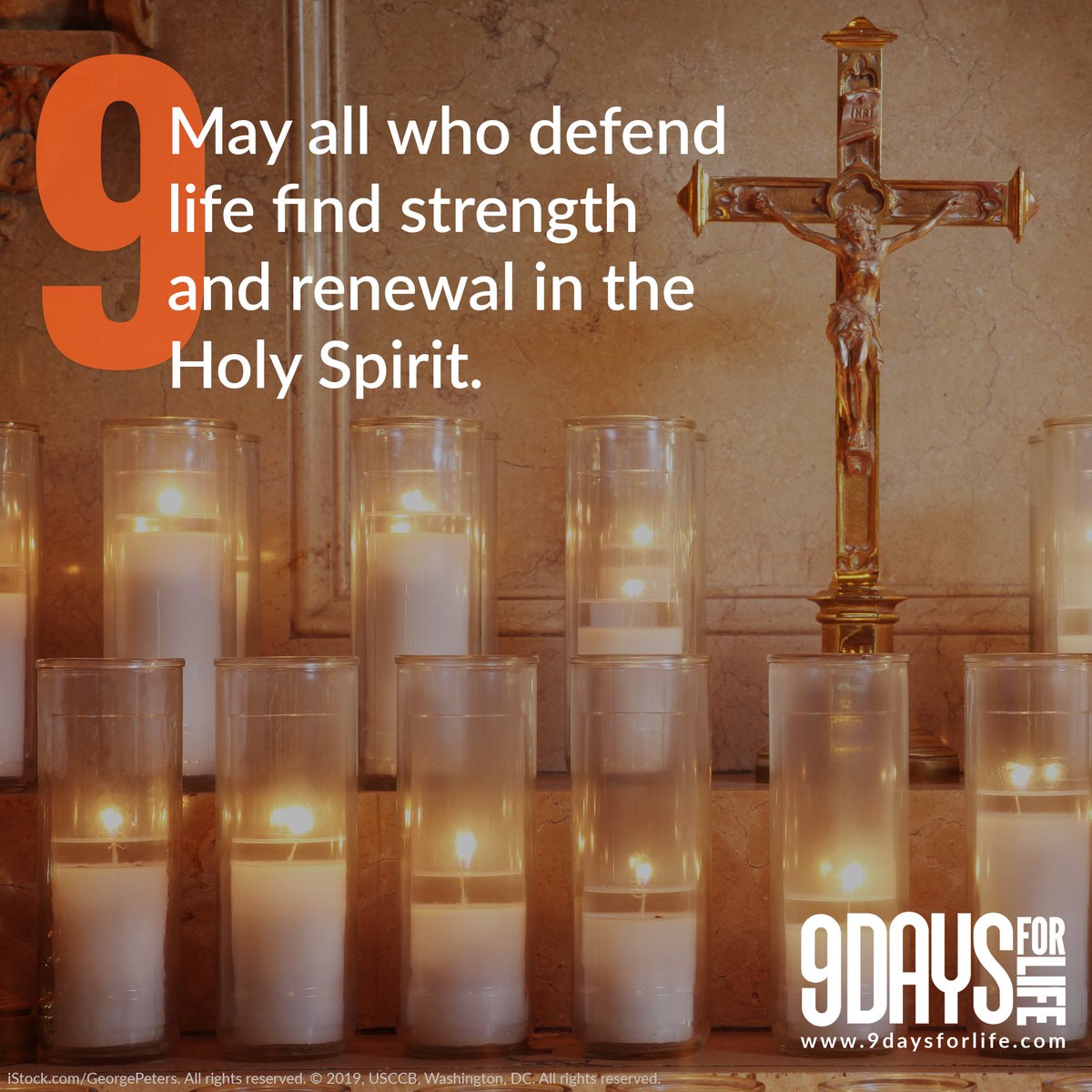 WomensHelpCentr's tweet photo. Day 9 intercession: May all who defend life find strength and renewal in the Holy Spirit.

Thank you to all those who help us at Women's Help Center defend the lives our these precious babies! https://t.co/WDvBGEqWw0