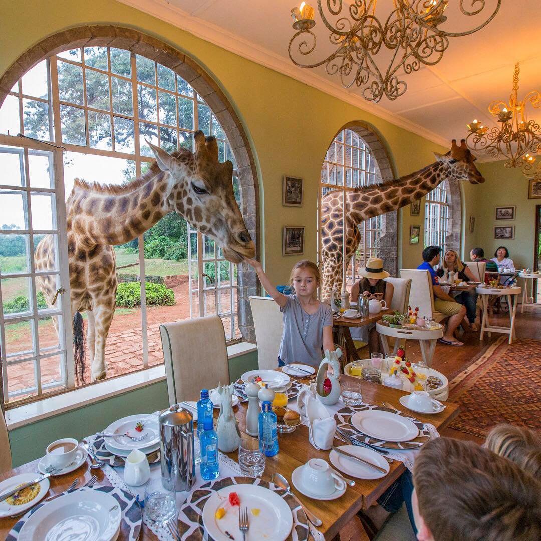 Eric Stoen, @travelbabbo, one of the world’s top 10 travel influencers according to Forbes, inspires and encourages people to take their kids along on the adventure!