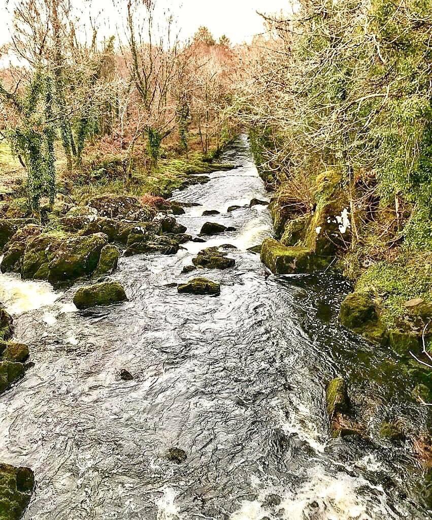 KCBKerry's tweet photo. We definitely have the #FridayFeels, thanks to @KCBKerry member @SheenFalls. Their incredible #100DaysOfWalking photos from colourful #Kenmare, showing beautiful landscapes & magical #MeetInKerry winter sunsets are inspiring us to #ExploreTheKingdom #WithinOur5Kms this weekend β https://t.co/2qFlVmin8b