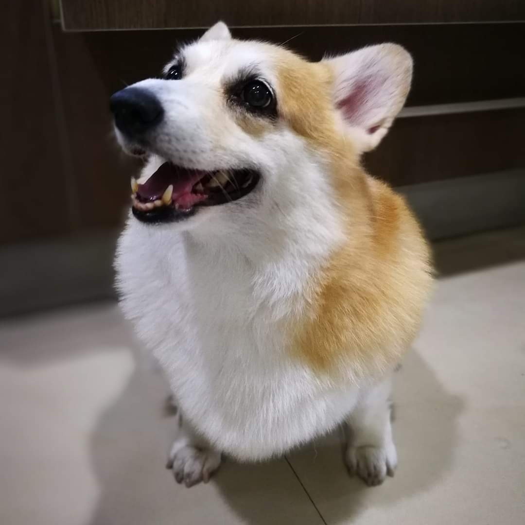 Torabear3's tweet image. #NewProfilePic