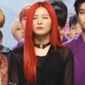 seulgi's poor eyesight: a saga