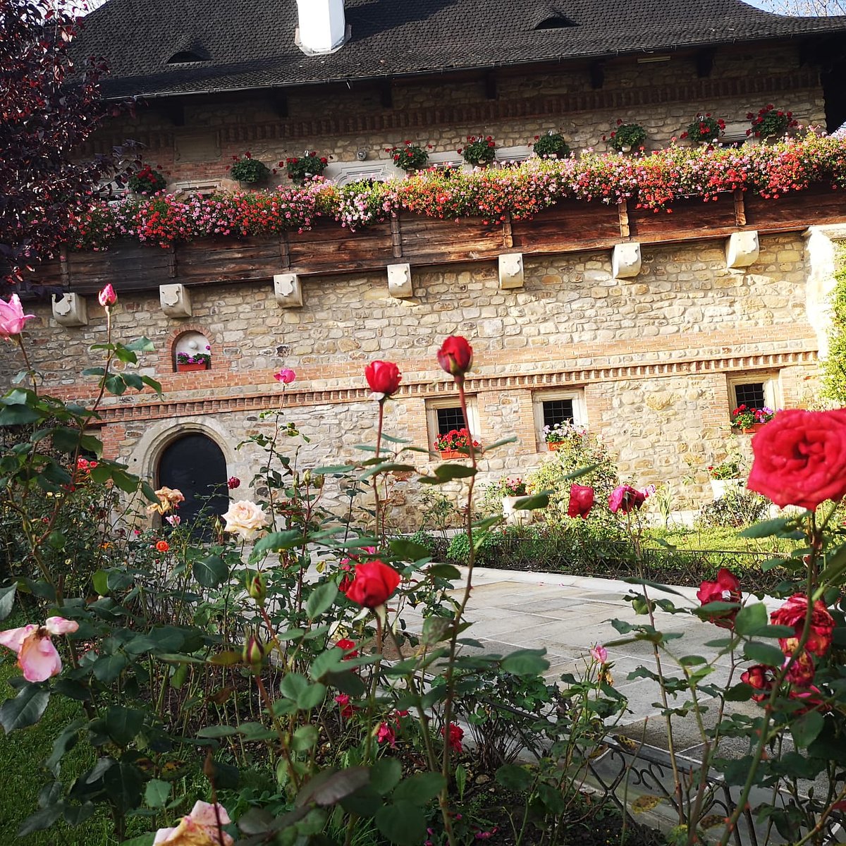 Traveltoland1's tweet photo. Autumn in Bucovina
https://t.co/BqCaON3pIc
#traveltoland #România #romaniainpics #exploreromania #visualromania #europestyle #gooutromania #travelanddestination  #europe_perfection #gorgeousromania #flowers #green #bucovina #romaniafrumoasa #beautifulplaces #silent #humor https://t.co/a5GkcSOwW8
