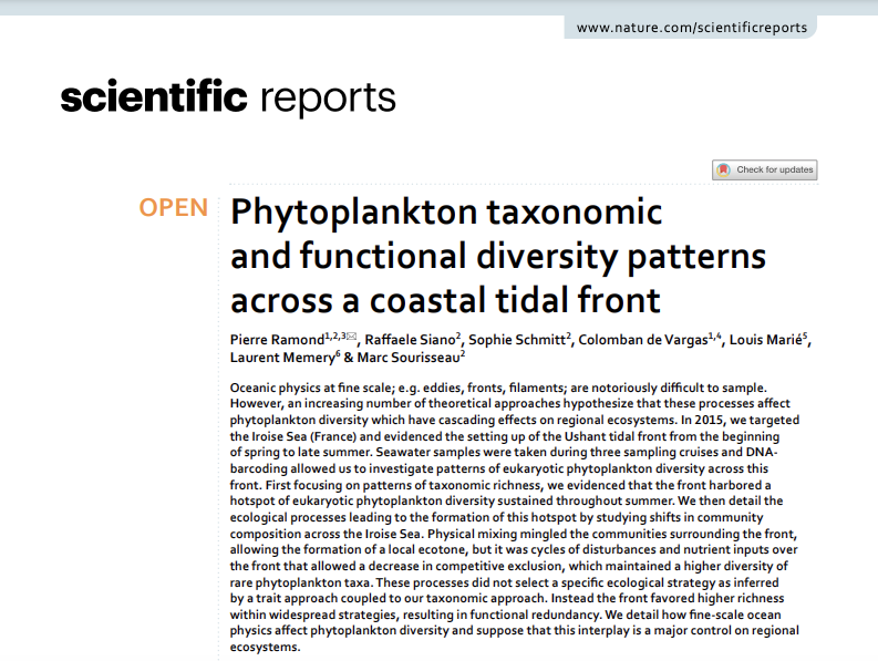 ramond_pierre's tweet photo. New paper out in @SciReports! We study how #oceanphysics shape #phytoplankton diversity and regional ecosystems. 🌍🦠🌊

Have a good read! 🤓
https://t.co/XMKA24eYDq 

Thanks @Ifremer_fr @SBRoscoff @LemarLab @ScienceSorbonne https://t.co/p8CBxLeynJ