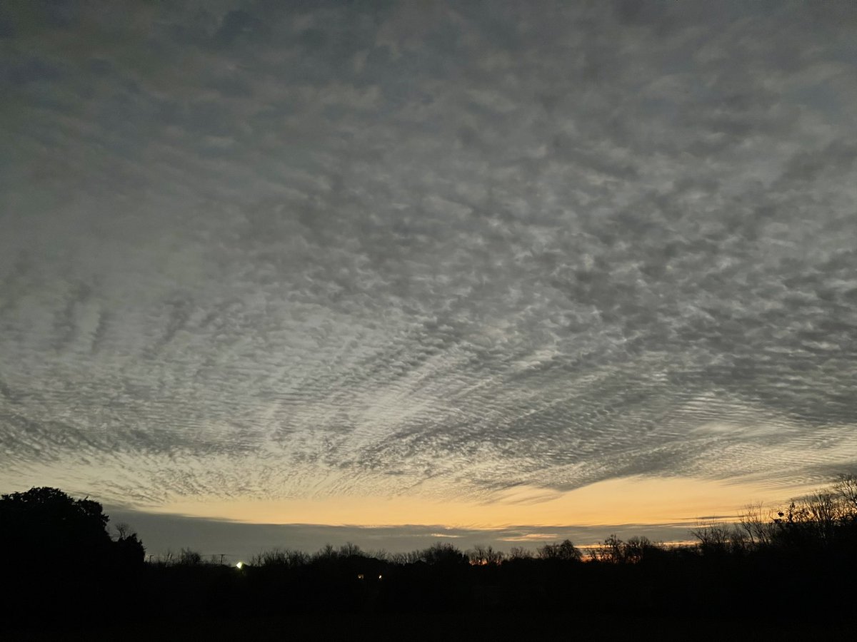 Ronnie Prcin tweet media