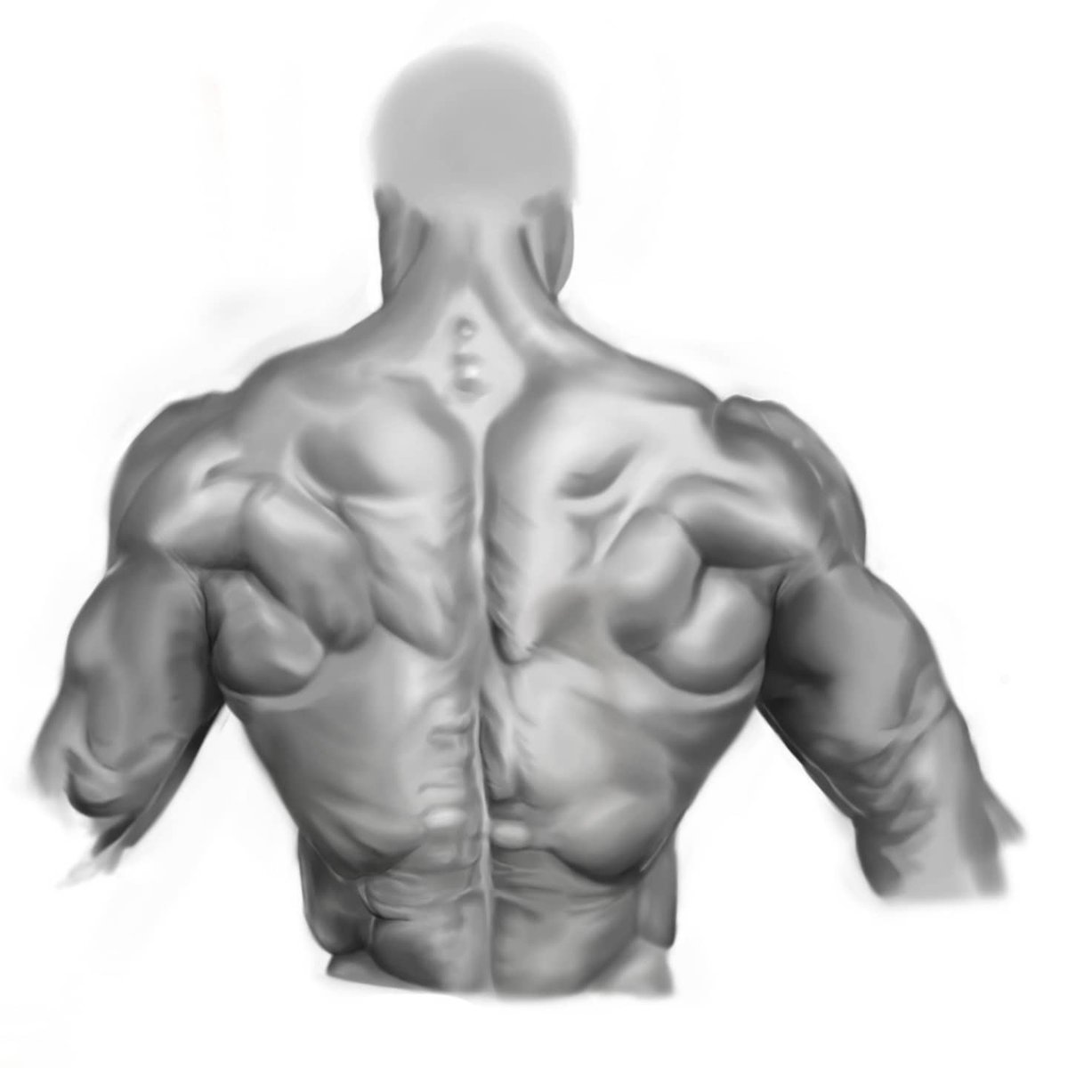 Question Mark Kj 등근육 사진 모작했던것 背筋写真毛作が描いた巨大 Illustration Illust Artwork Art Drawing Draw Painting 그림 창작그림 일러 일러스트 イラスト 顔画像 アート T Co Bti56yvpzl