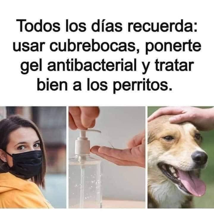 SuavesLomitos's tweet photo. https://t.co/2jQeFW1xya