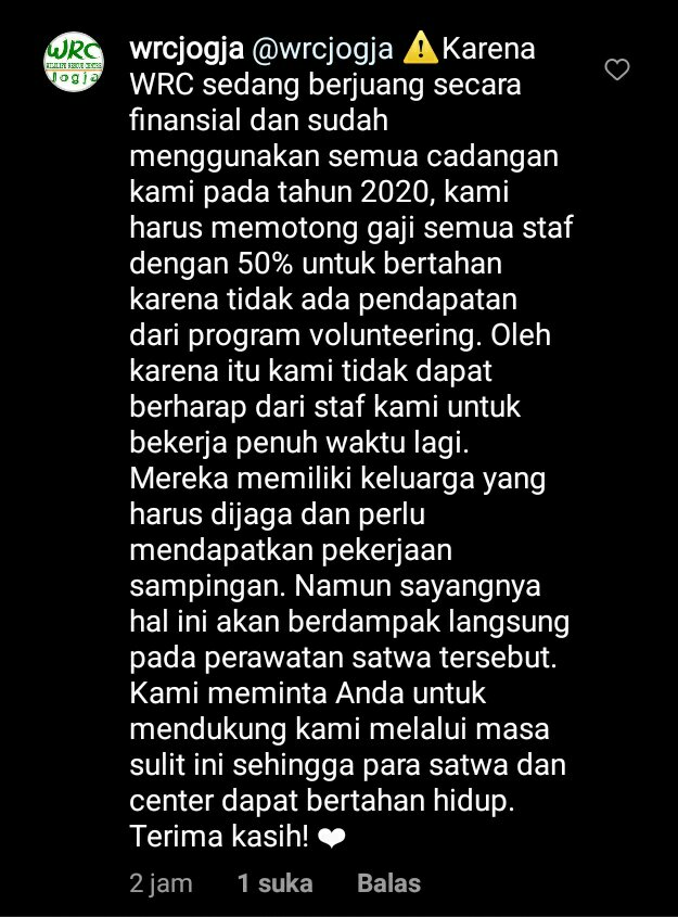 TWITTER PLEASE DO YOUR MAGIC! 😩
saya bukan siapa-siapa di WRC jogja. cuma kebetulan rumah saya dekat, dan memang saya juga senang dengan kegiatan konservasi seperti itu.   kabar buruknya adalah 150 satwa di wrc terancam keberlangsungan hidupnya, akibat dari pandemi covid19 ini.