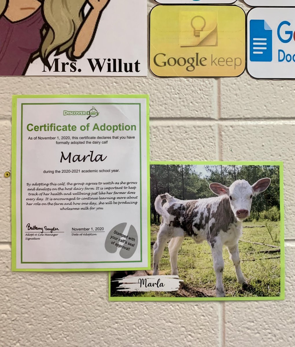 Mrs. Willut tweet media