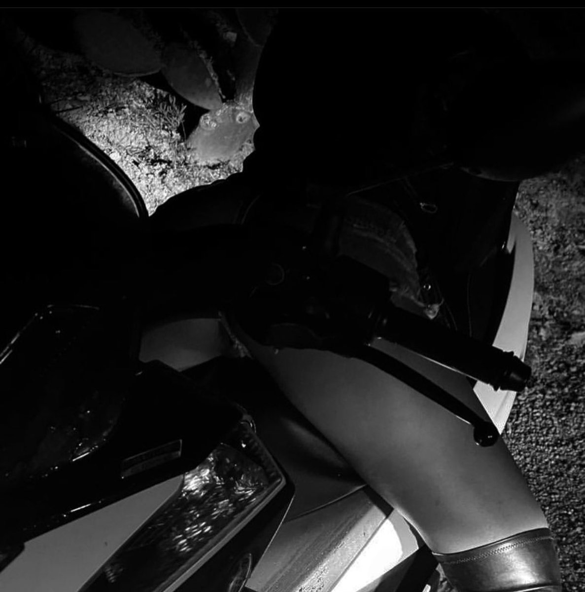 ‘girls like you’ rizos? 