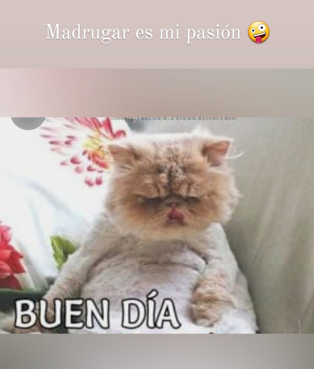 Mis tres personalidades se dan garra. 😵\u200d💫😵\u200d💫😵\u200d💫, image size:1019x1200