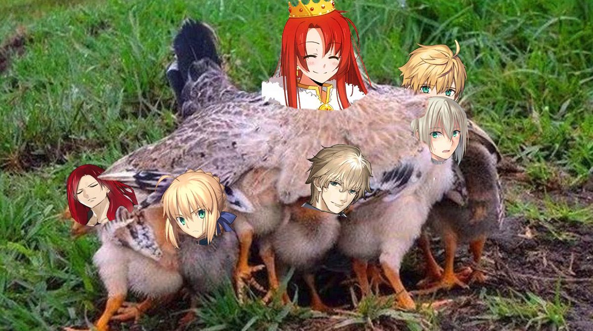 Boudica (@defiantshield) on Twitter photo 