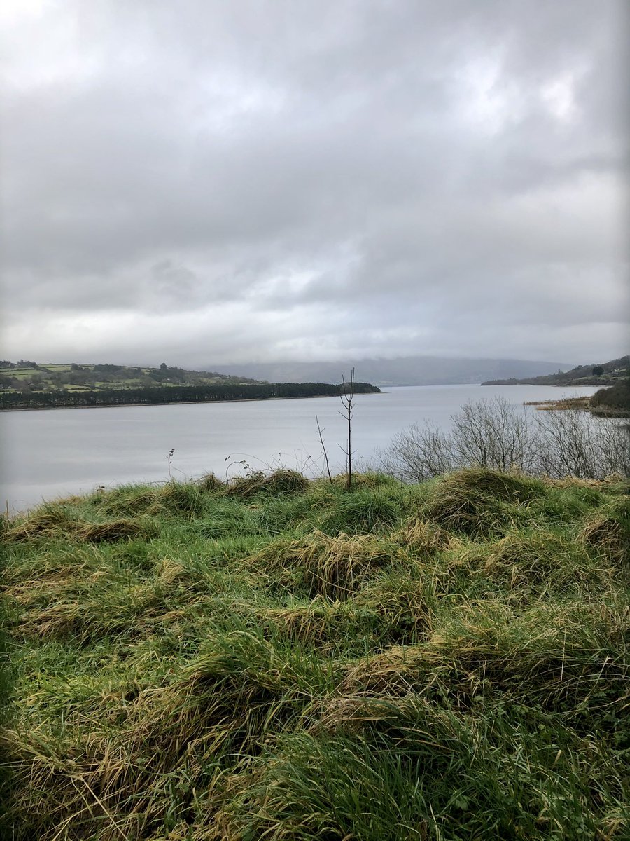 sinead_toomey's tweet photo. Even though it’s wet and mucky today a walk on @BlessGreenway is a great way to clear your head after a busy week #wicklow #within5k https://t.co/v7Z7ismoBq
