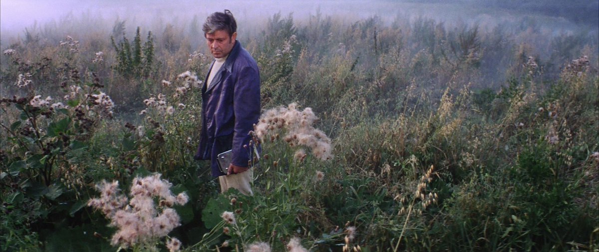 FilmLinc's tweet photo. What's your favorite shot in an Andrei Tarkovsky film? https://t.co/z1ZrqZqxXX